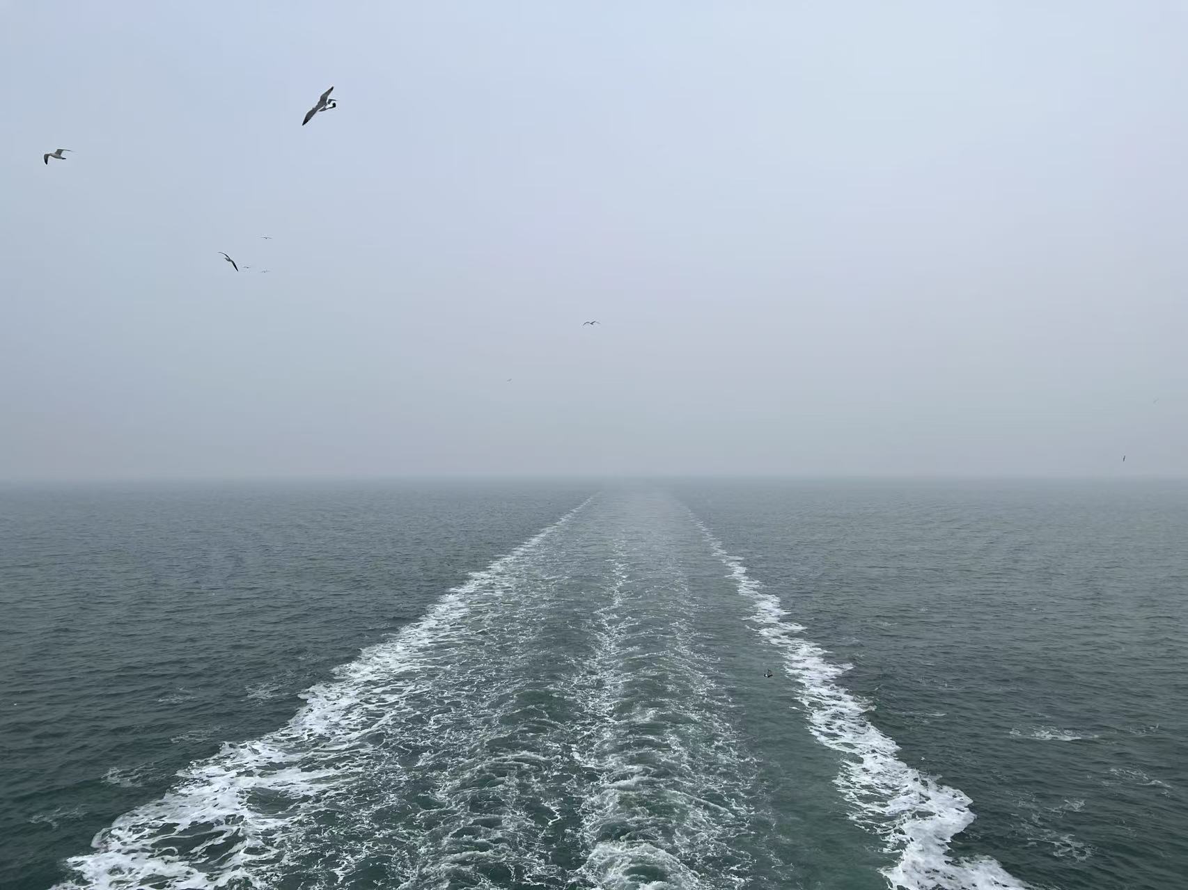 渤海轮渡.jpg