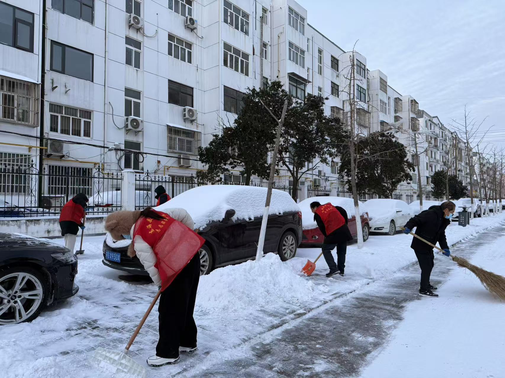 以雪为令勇担当  审计党员冲在前2.jpg