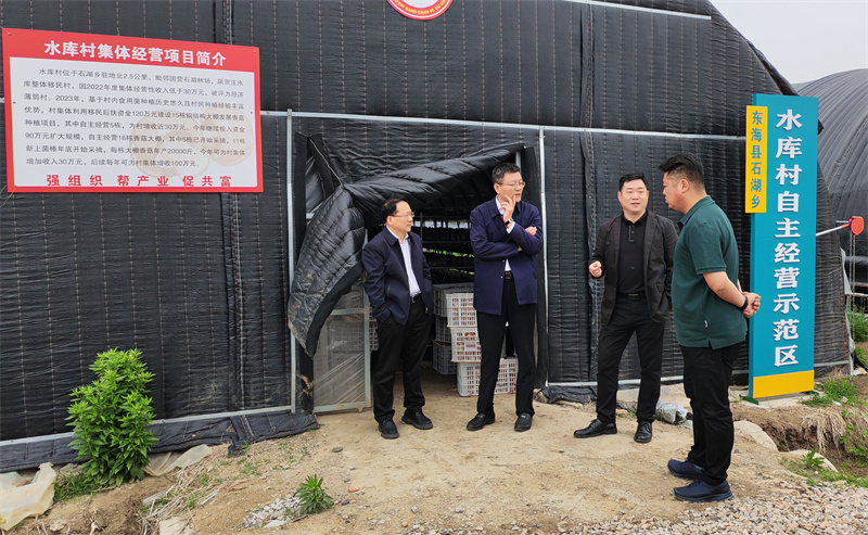 审计聚力助振兴1.jpg